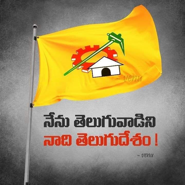 Telugu Desam Party Flag